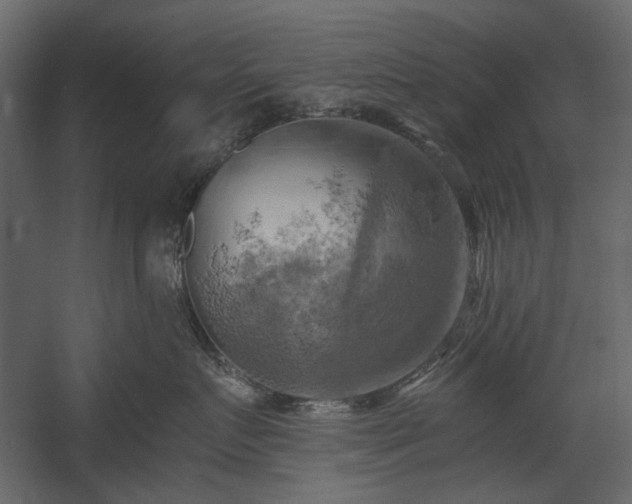 X0000058800719200510031320