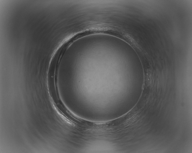 X0000058800726200510031319