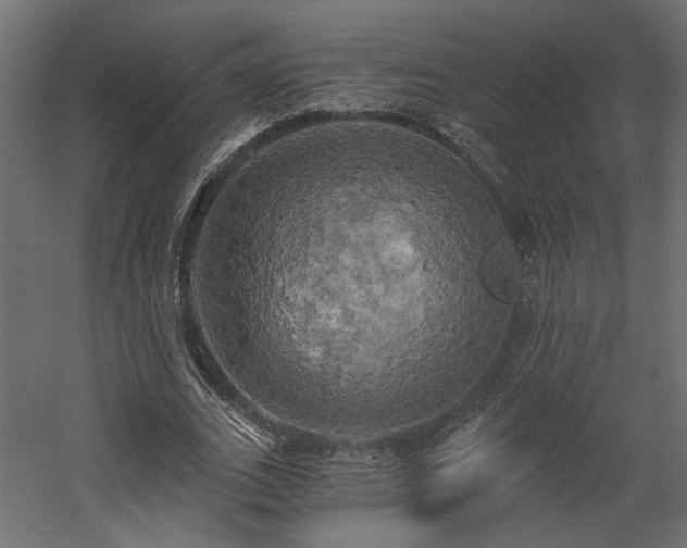 X0000058800727200510031319