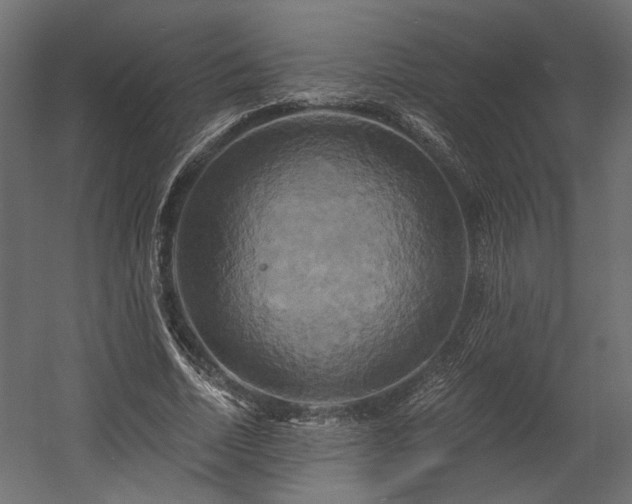 X0000058800730200510031319