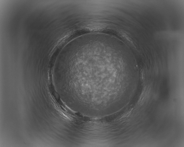 X0000058800733200510031319
