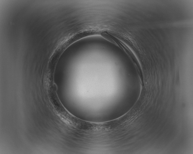 X0000058800736200510031319