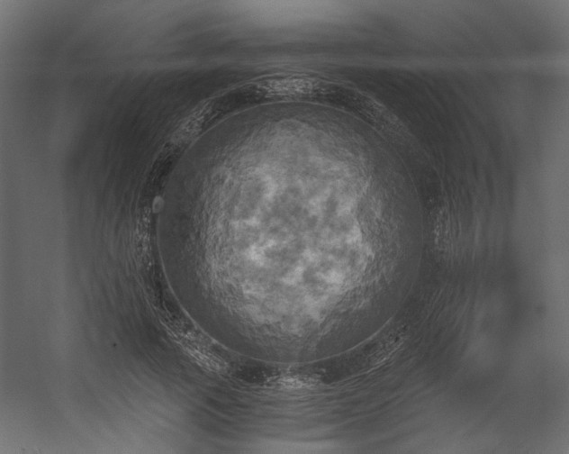 X0000058800737200510031319