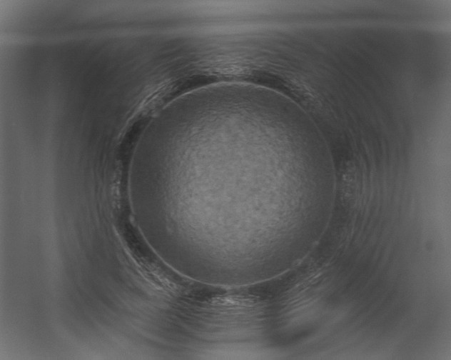 X0000058800739200510031319