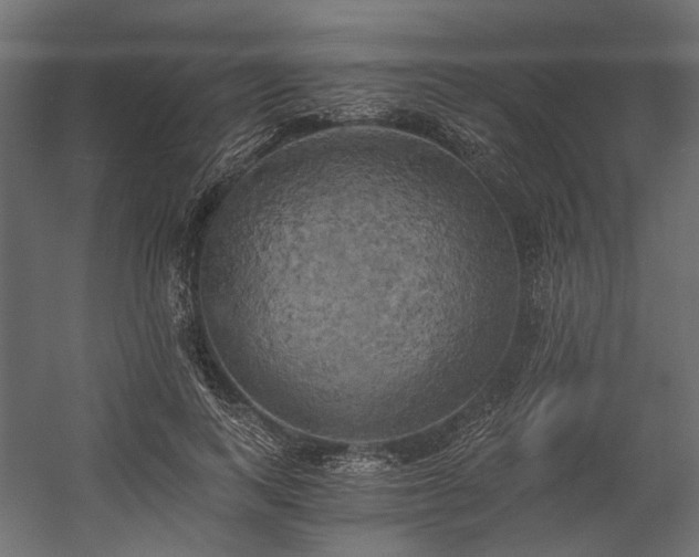 X0000058800743200510031319