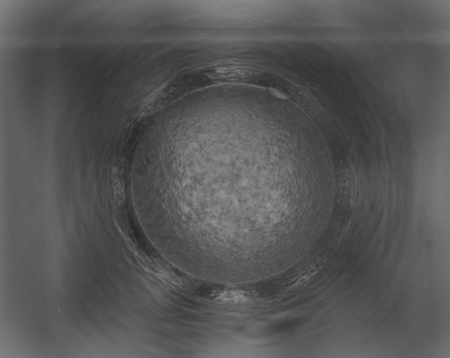 X0000058800751200510031320