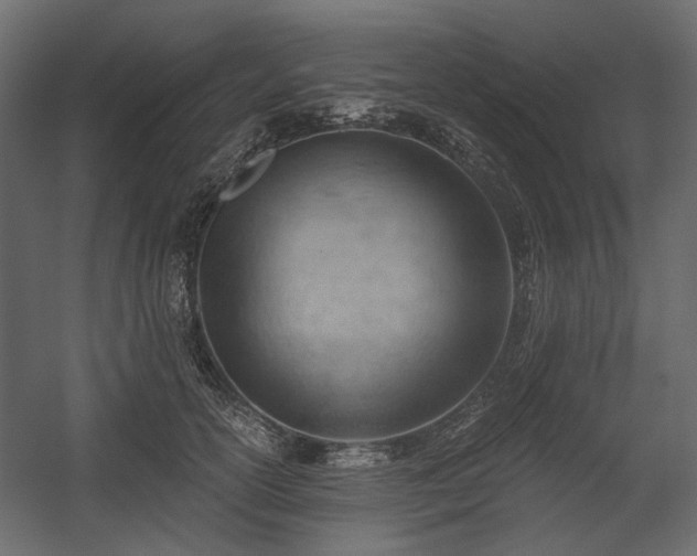 X0000058800754200510031320