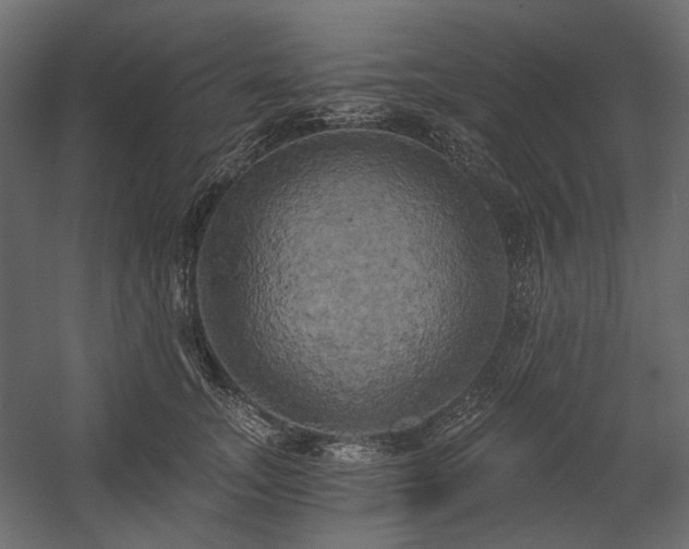 X0000058800755200510031320