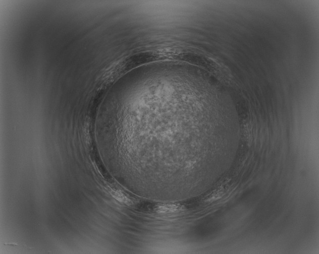 X0000058800757200510031320