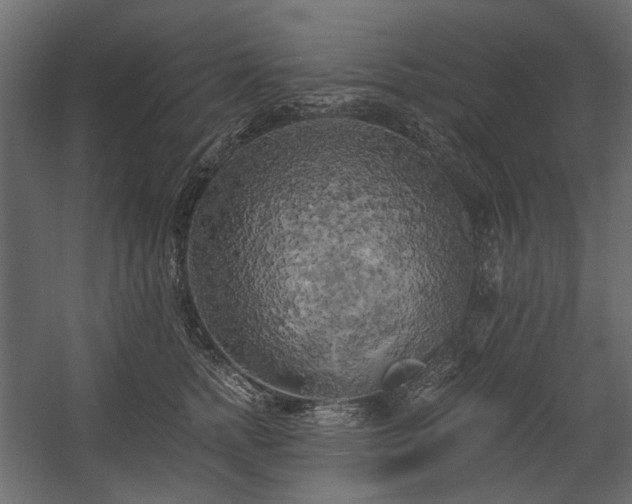 X0000058800758200510031320