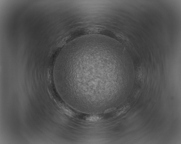 X0000058800759200510031320