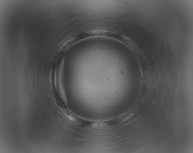 X0000058800762200510031320