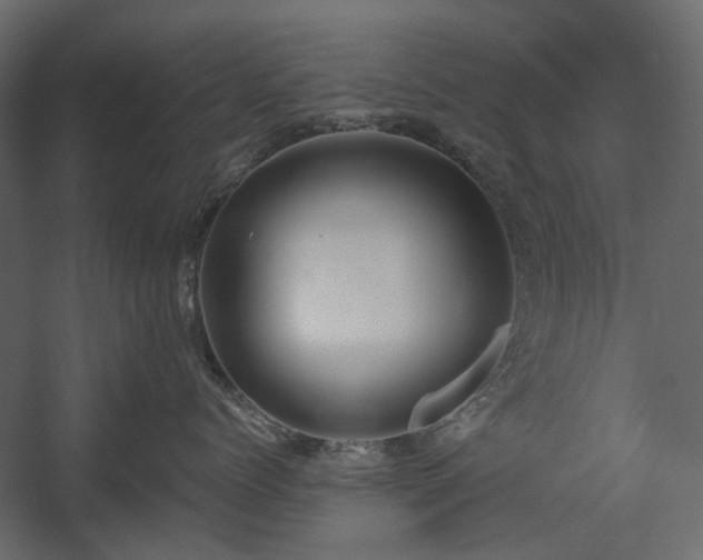 X0000058800768200510031320