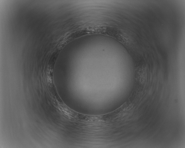 X0000058800770200510031319