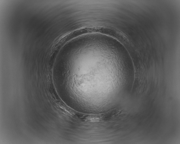 X0000058800773200510031319