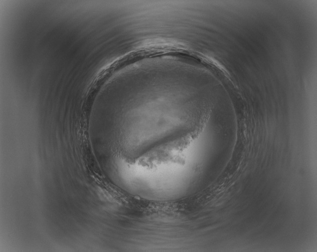 X0000058800775200510031319