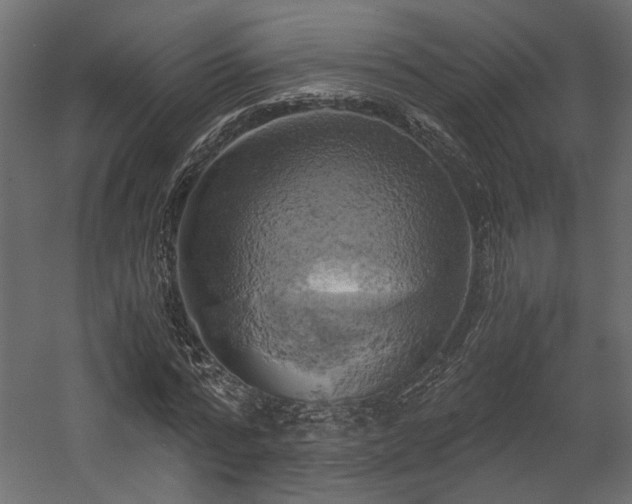 X0000058800776200510031319