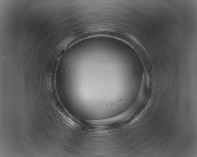 X0000058800777200510031319