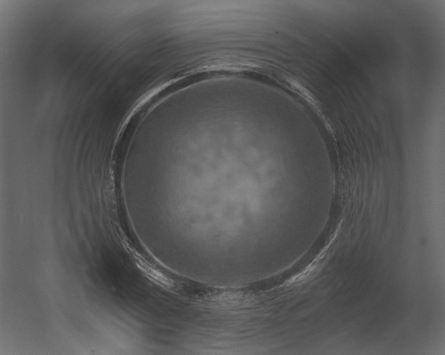 X0000058800779200510031319