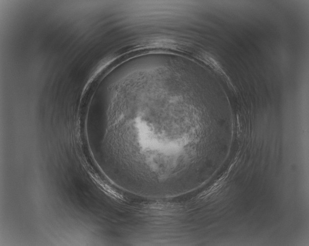 X0000058800780200510031319