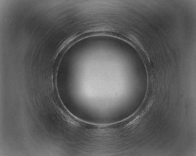 X0000058800781200510031319