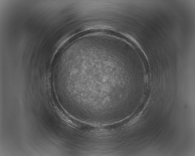X0000058800783200510031319