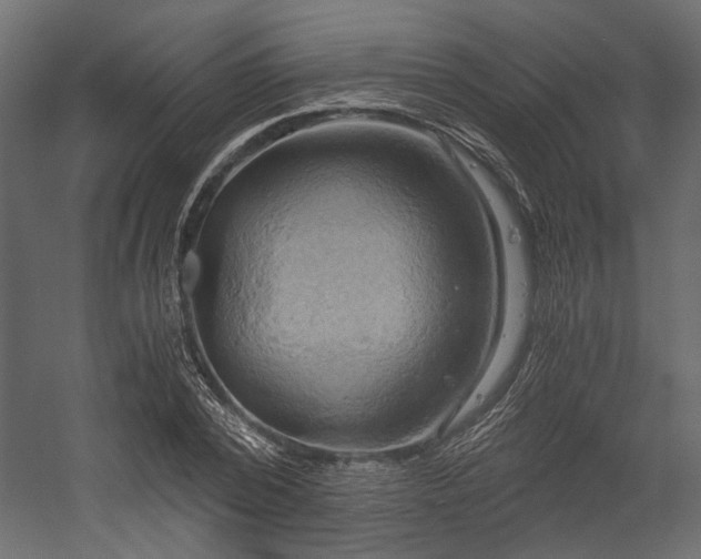 X0000058800784200510031319