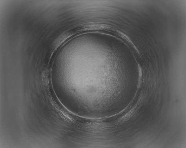 X0000058800786200510031319