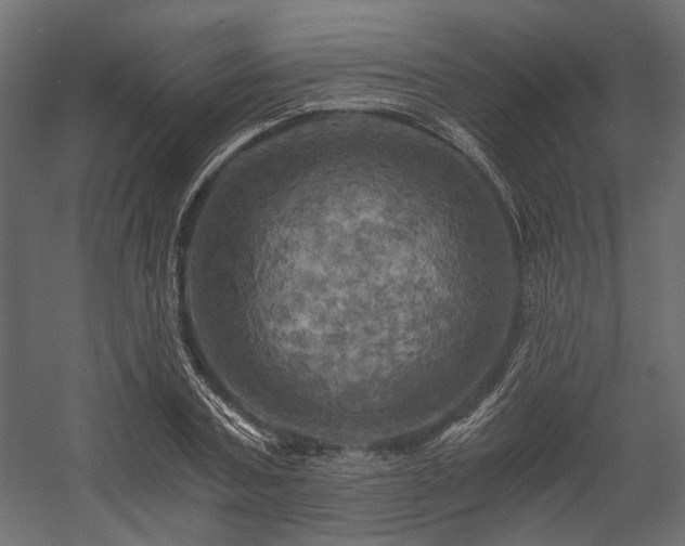 X0000058800787200510031319