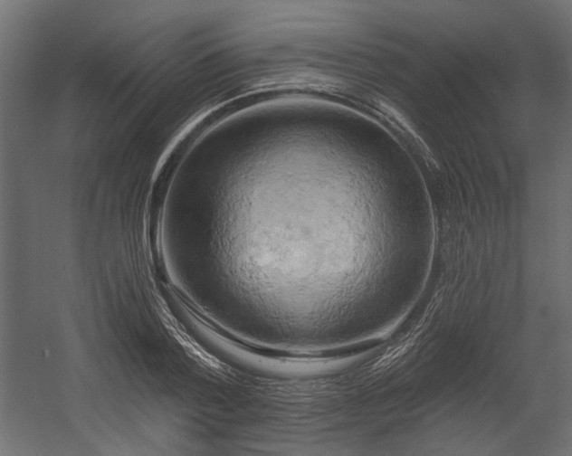 X0000058800788200510031319