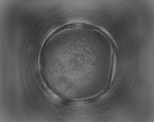 X0000058800791200510031319