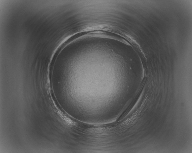 X0000058800792200510031319