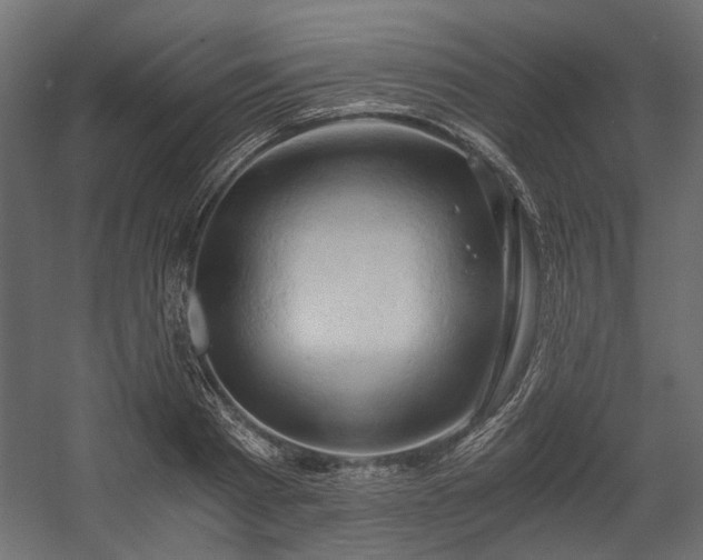 X0000058800793200510031319
