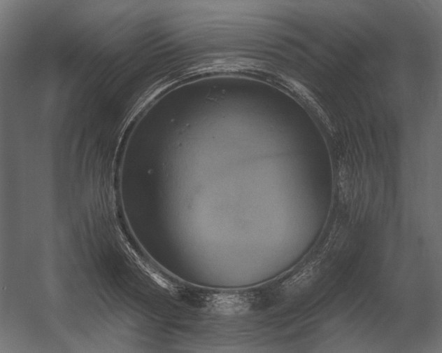 X0000058800794200510031319