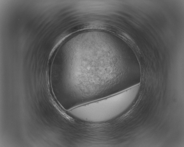 X0000058800796200510031319