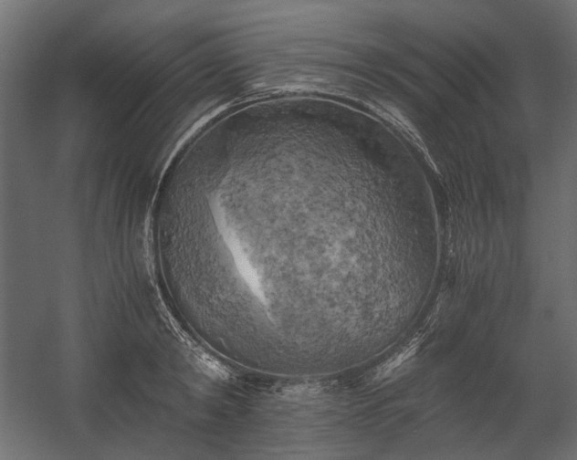 X0000058800798200510031319