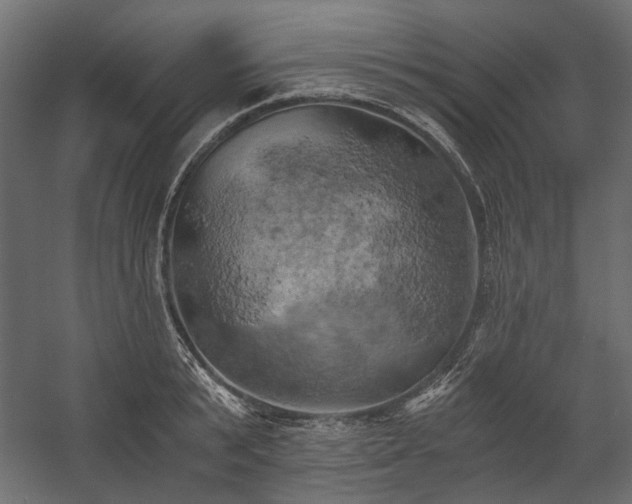 X0000058800799200510031319