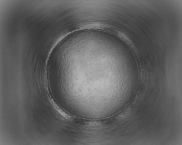 X0000058800800200510031319
