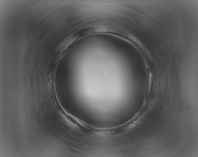 X0000058800801200510031318
