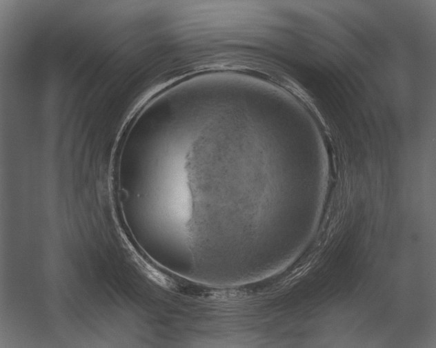 X0000058800803200510031318