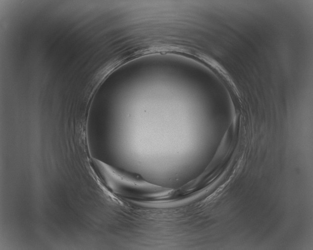 X0000058800809200510031318