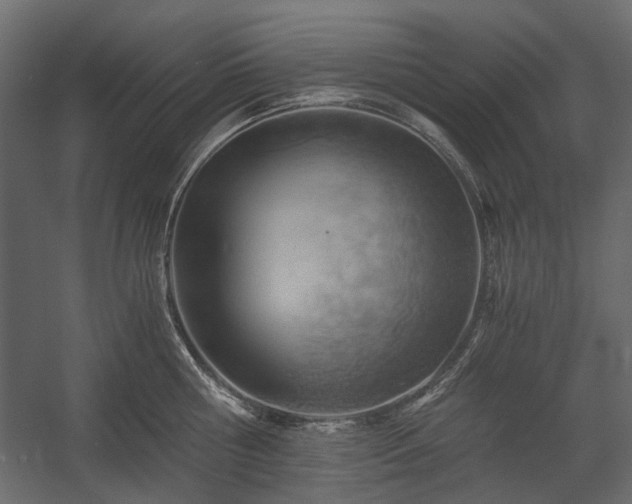 X0000058800810200510031318