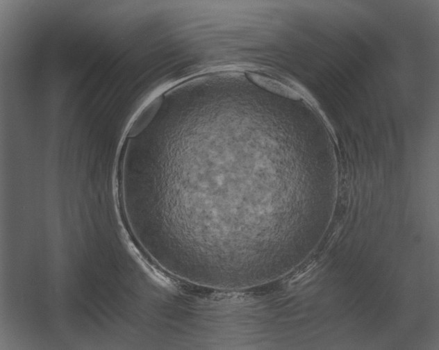 X0000058800811200510031318