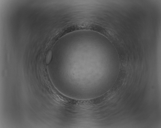 X0000058800817200510031317
