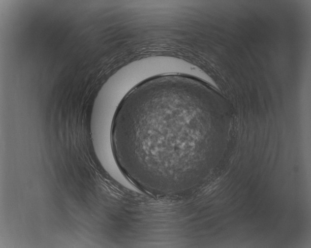 X0000058800818200510031317