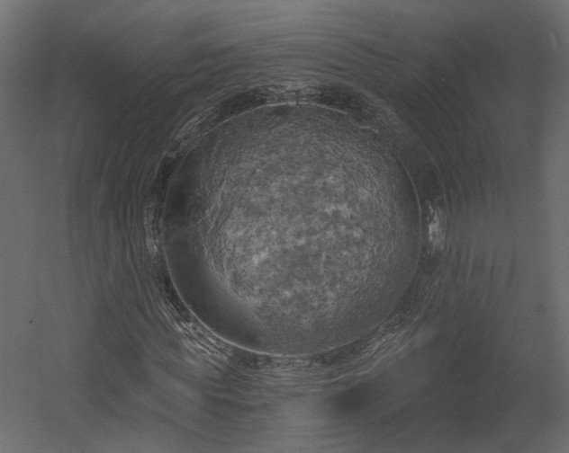 X0000058800819200510031317