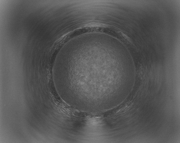 X0000058800821200510031317