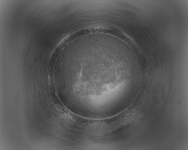 X0000058800823200510031318