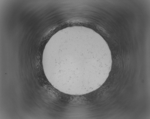 X0000058800824200510031318