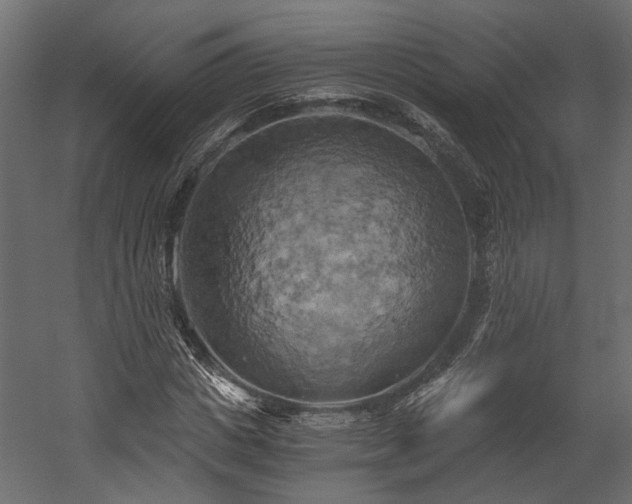 X0000058800825200510031318